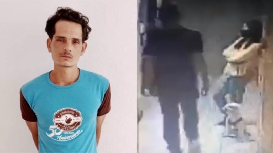 Video: mató de una brutal patada al perro guía de una mujer ciega