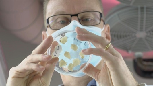 Este es el café de laboratorio realizado por científicos finlandeses