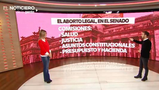 El 8 de agosto se votará el aborto legal en el Senado