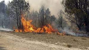 Nueve provincias afectadas por incendios forestales