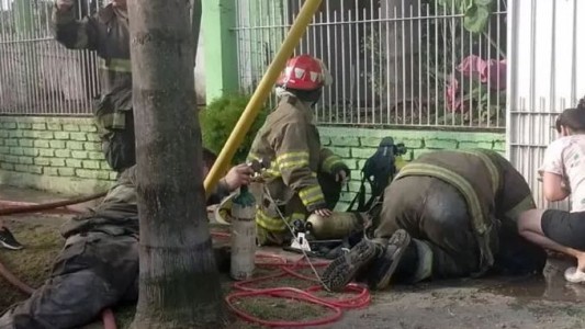 William Morris: bomberos le salvaron la vida a un perro que se desvaneció en medio de un incendio
