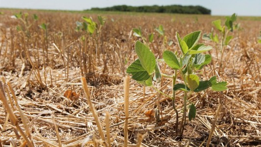 "La Niña": pronostican meses de calor y escasas lluvias