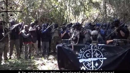 Video: un grupo mapuche se mostró con armas y exigió al gobierno de Chile que cese la militarización