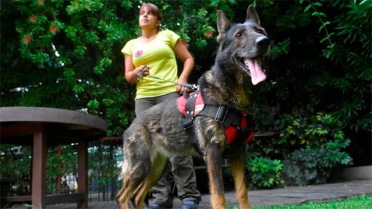 La historia de "Ruca", la perra que fue clave para condenar al doble femicida que se cree gato