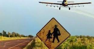 Vecinos de la localidad chaqueña de Presidencia Roca denuncian fumigaciones ilegales