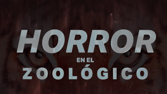 Horror en el zoo de Luján: denuncian que mataron a cachorros de tigres recién nacidos