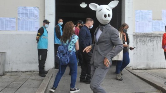 Curiosidad electoral: Un “chancho blanco” votó en la Facultad de Derecho y el curioso error de Vidal