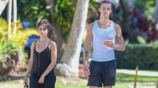 Camila Cabello y Shawn Mendes se separaron tras dos años de relación