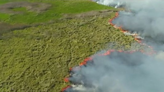 Voraz incendio en el Parque Nacional Ciervo de los Pantanos
