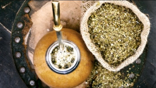 "El mate es amargo", afirmó sommelier argentina en el día nacional de esa infusión