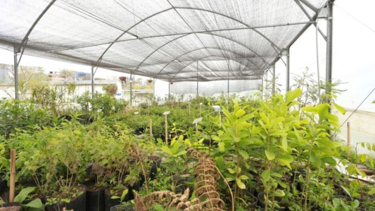 Asaltan un vivero en La Plata y escapan con un botín millonario