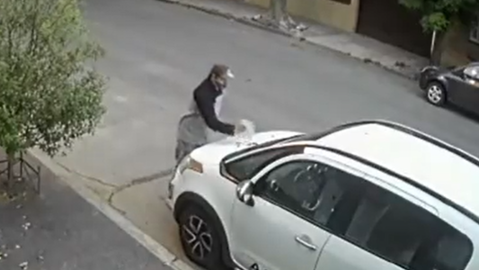 Insólito: levantó el excremento de su perro y lo desparramó sobre el capó de un auto