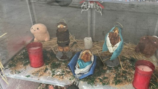 Denunciaron a un comercio por armar un pesebre con formas de penes