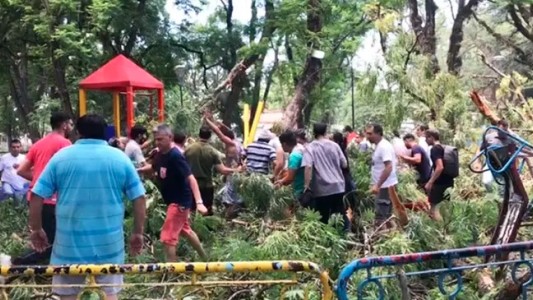 Cayó un árbol sobre el sector de juegos de un parque tucumano: dos nenes heridos