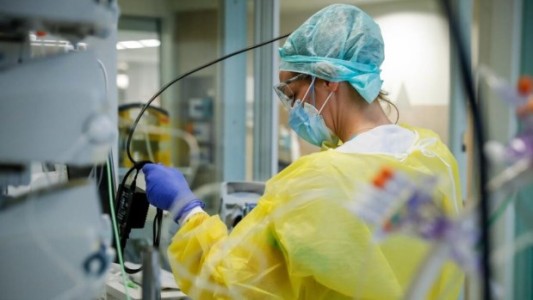 Científicos brasileños lograron aislar por primera vez la variante Ómicron del coronavirus