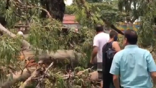 Desesperado pedido de la madre de la nena a la que le cayó un árbol en la plaza: "Recen por ella"