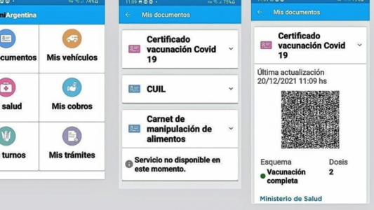 Gollan: "Con el pase sanitario hace 5 días que aumentó un 40% la concurrencia a vacunarse"