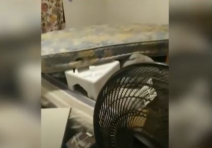 Desvalijaron a una familia en Navidad: persiguieron a los ladrones mientras dieron aviso al 911