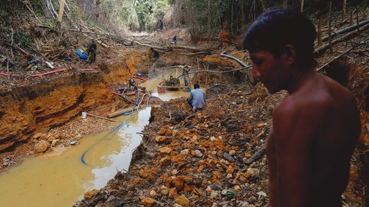 Multan a minera canadiense por mortandad de peces con cianuro en la selva amazónica de Brasil