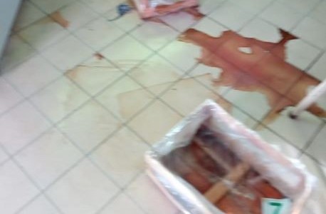 Robaron y vandalizaron una escuela en Monte Grande: "Desparramaron los bolsones de comida"