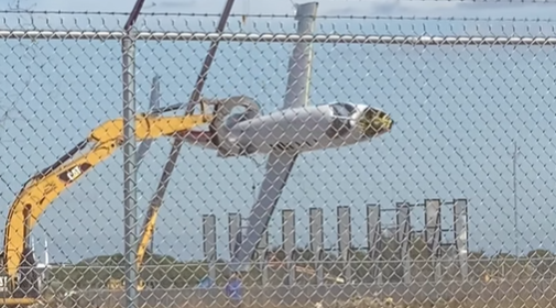 "Cuando te piden un prueba y el producto no está listo": el video de la grúa y el avión que se volvió viral