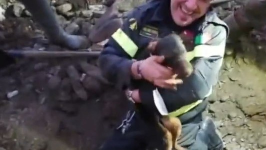 Conmovedor rescate de dos perros atrapados en una madriguera en Italia