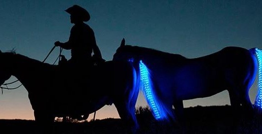 Cabalgatas seguras con colas de caballo lumisosas