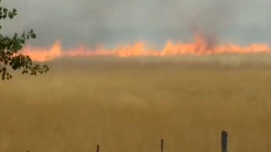 Impresionante incendio de pastizales en Canning: al menos cuatro dotaciones de bomberos intentan controlar el fuego