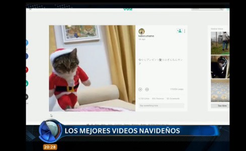 Los mejores videos navideños que circulan en la web