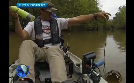 Pez que no es pez, skate sin tabla y más videos que mira el mundo