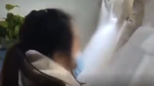 Rompió 32 vestidos de novia porque su boda se canceló y no querían reembolsarle el que había comprado