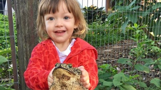 Video: la nena de 3 años que tiene sapos como mascotas