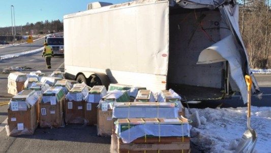 Sacrifican a tres monos de laboratorio que escaparon de un camión en Estados Unidos