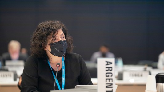 Ante la OMS, Vizzotti habló de la pandemia y remarcó: "La salud mental es un eje clave"