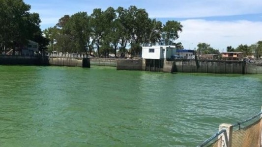 Alerta naranja por la presencia de cianobacterias en las costas de Berisso y Ensenada