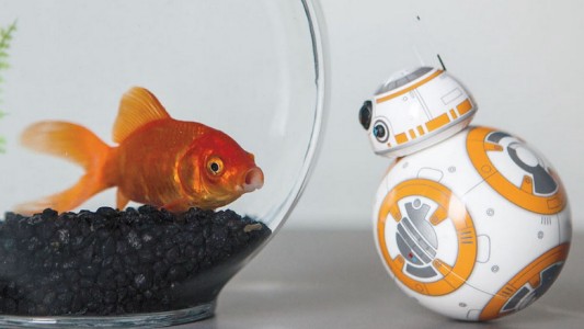 Con un robot inspirado en Star Wars, alumnos aprenderán robótica y programación