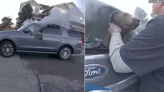 El dramático rescate de un perro atrapado en una camioneta en llamas