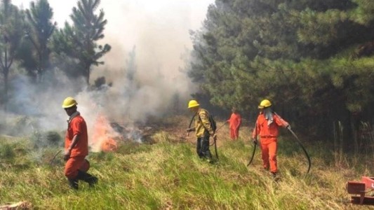 Brigadistas combaten focos activos de incendios forestales en Río Negro y Corrientes