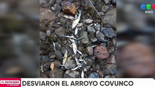 Un estanciero desvió el curso del agua de un arroyo para regar su propiedad