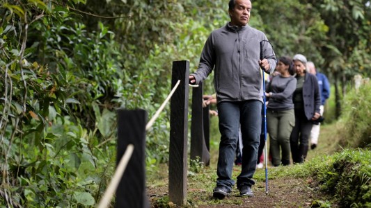 El "avistamiento" de aves para ciegos amplía la inclusión