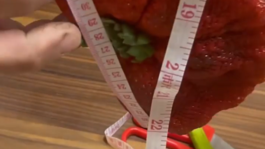 Una frutilla logró entrar el Récord Guinness tras pesar 290 gramos y ser la más grande del mundo