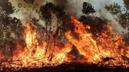 Mauricio Macri apuntó contra el Gobierno por los incendios en Corrientes: "Nunca respondieron"