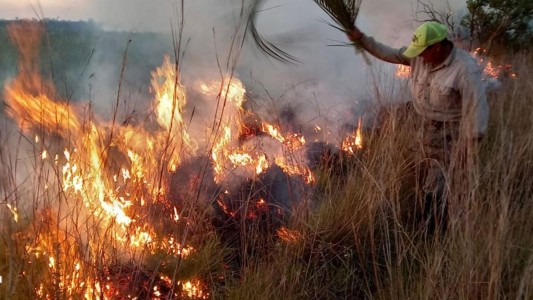 Incendios en Corrientes: las pérdidas ascienden a los $26 mil millones y ya hay 800 mil hectáreas quemadas