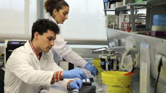 Investigadores españoles frenaron con un fármaco la metástasis en cáncer de mama