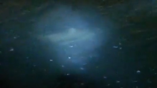 Filmaron a un tiburón gigante que pesaría más de 100 kilos en Mar del Plata