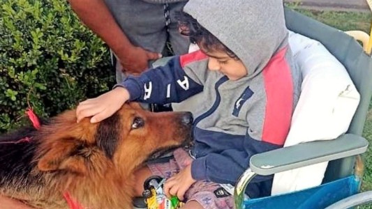 Terapia hospitalaria con las propias mascotas de los pacientes