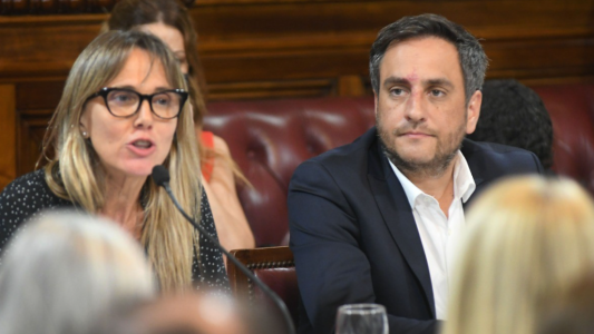 Cabandié, en el Senado sobre los incendios: "Llevamos el presupuesto a $2.500 millones el año pasado y $6.500 este año"