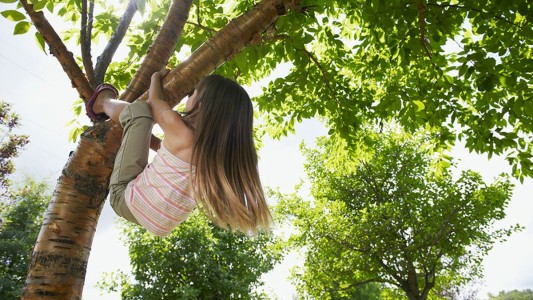 Una nena de cuatro años cayó de un árbol en Mendoza y quedó internada en terapia intensiva