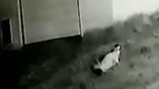 Asesinaron a un chofer de Uber en Lomas del Mirador