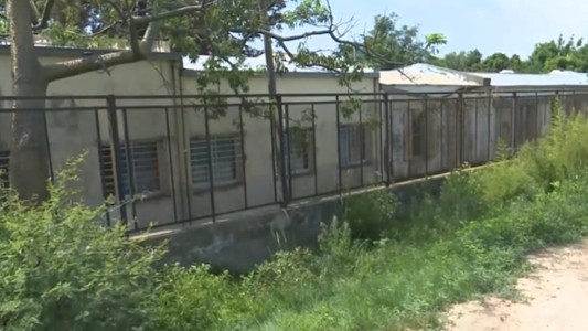 Docente de una escuela de Santa Fe fue picada por una víbora